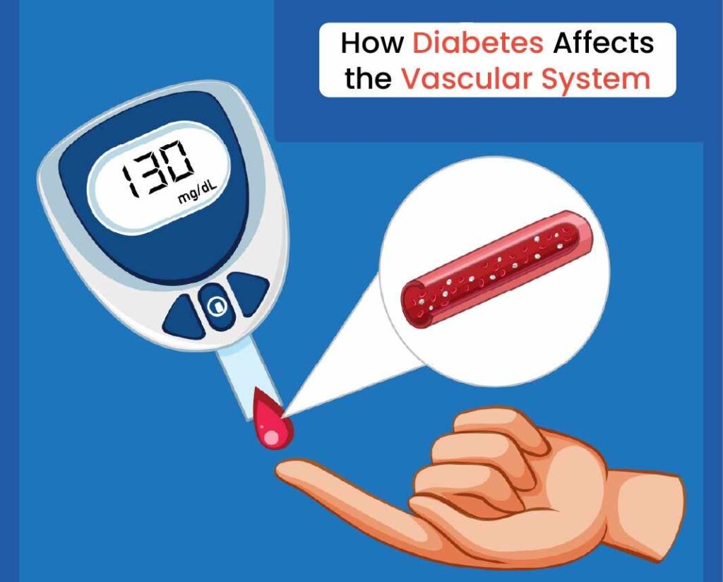 How diabetes affects the vascular system
